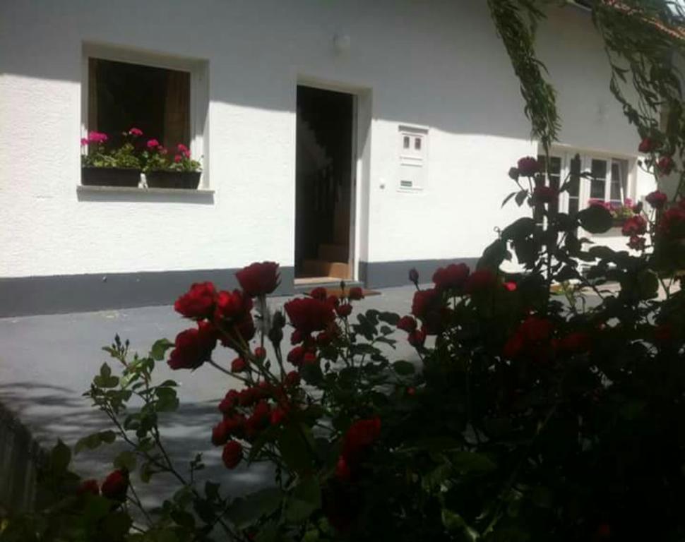 Guest House First Stop Rakovica Ngoại thất bức ảnh
