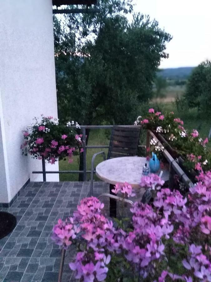 Guest House First Stop Rakovica Ngoại thất bức ảnh